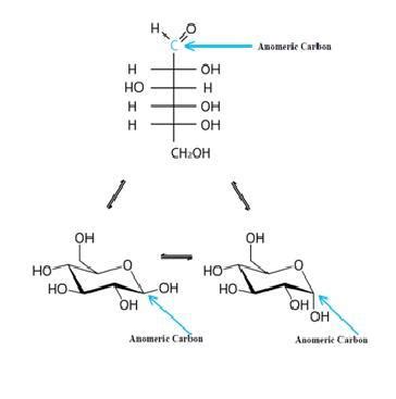 carbonio anomerico